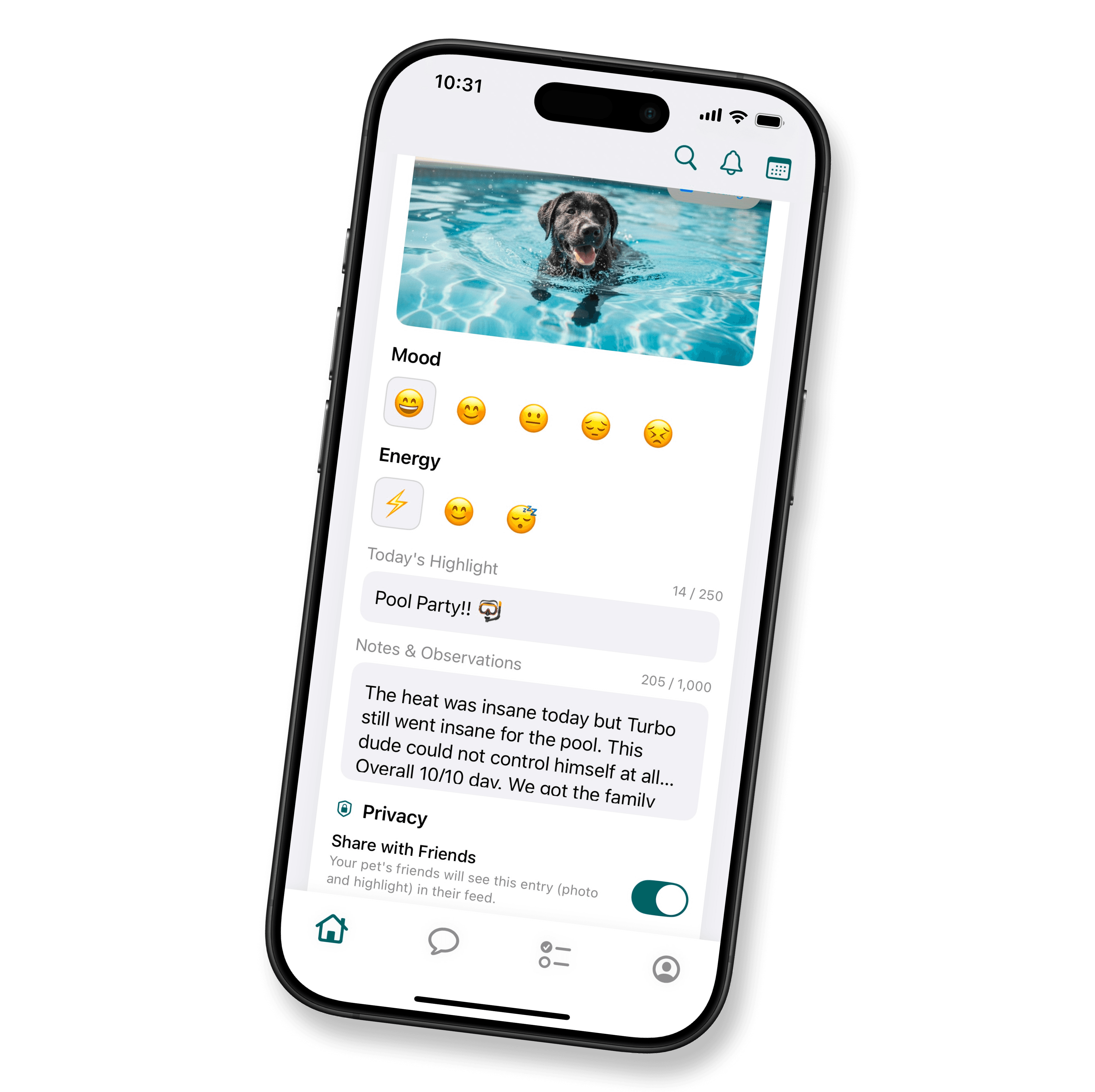 Daily diary entry and friends' feed - Animo